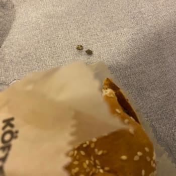 Köfteci Yusuf Hamburgerden Taş Çıktı