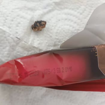Ülker Extra Gofretin İçinden Çıkan Sert Plastiğe Benzer Cisim