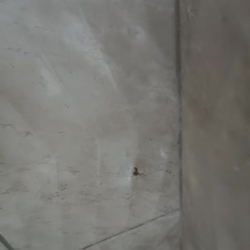 Kaya Suit Gelibolu Otel Gelibolu Kaya Suit Konaklama Hakkında...