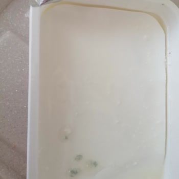 Ekici Süzme Peynirden Küf Çıktı.