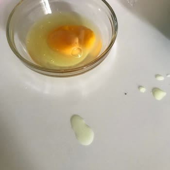 Lele Yumurta Bozuk Ve Çürümüş Yumurta