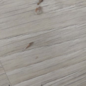 Çerezza Süt Mısırın İçerisinde Kurt Çıktı