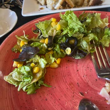 Gaziantepli Habeş Seyidoğlu Baklavaları Beşyol Memnuniyetsizlik