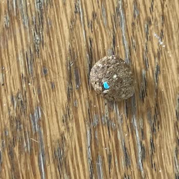 Farmina N&D Sticky Bad Pet Food And Customer Service Unresponsive