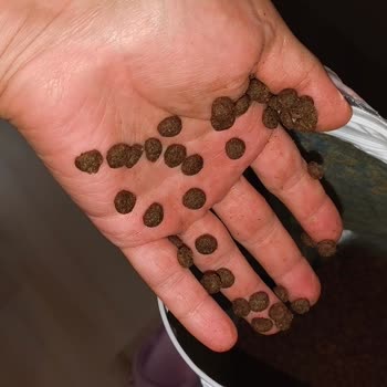 Farmina N&D Sticky Bad Pet Food And Customer Service Unresponsive