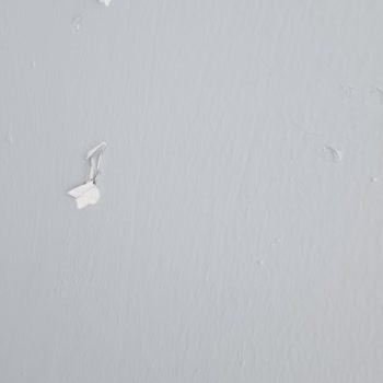 Polisan Elegans Boya Soyulması