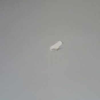 Polisan Elegans Boya Soyulması