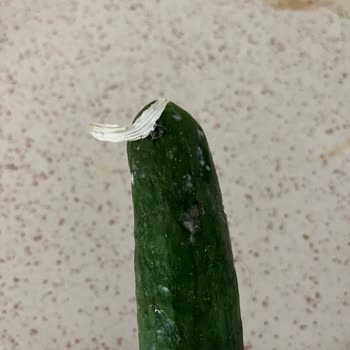 Beko Ürünün Arkasında Durmuyor.