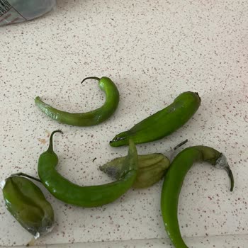 Beko Ürünün Arkasında Durmuyor.