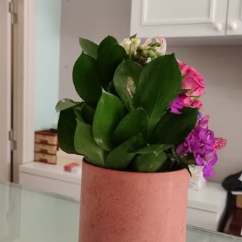 Taze Çiçek (tazecicek.com) Teslim Edilen Ürünün Fotoğrafı İle Aynı Olmaması