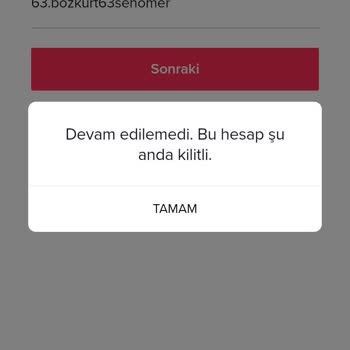 TikTok 1 Yıl Önce Hesabım Kilitlendi Giriş Yapamıyorum