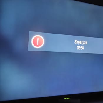 Vestel TV Pişmanlıktır, Hepsi Arızalı Geldi