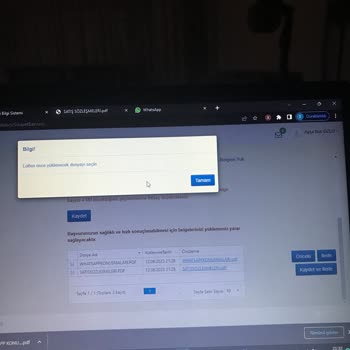 E-Devlet (Turkiye.gov.tr) Belge Yükleme Sorunu
