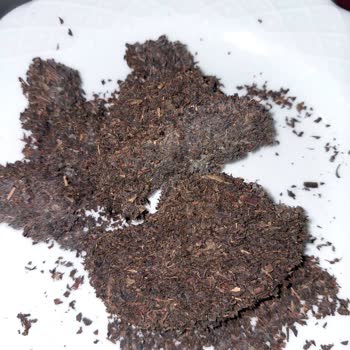 Çaykur Çayının İçinden Küflü Kalıplaşmış Çay Çıktı