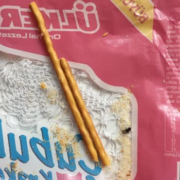 Ülker Çubuk Krakerden Çıkan Sinek