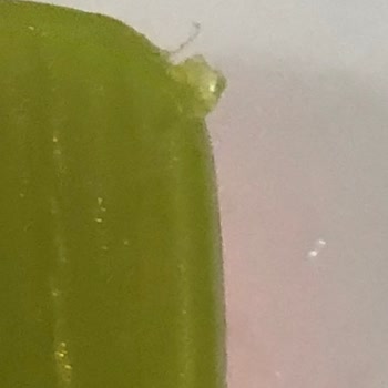 Banat Fırçanın Plastik Çıkıntısı