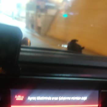 Citroen Jumpy Ayıraç Tüketiminde Arıza!