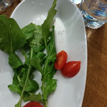 Alo24 Salatadaki Kumlar Böcekler