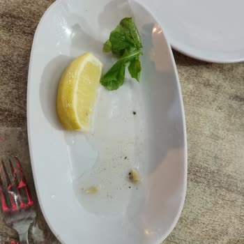 Alo24 Salatadaki Kumlar Böcekler