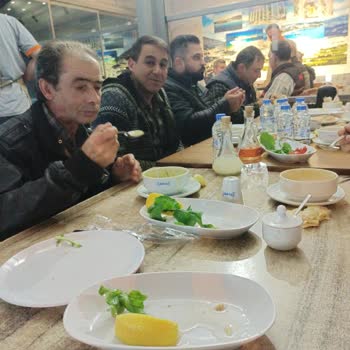 Alo24 Salatadaki Kumlar Böcekler