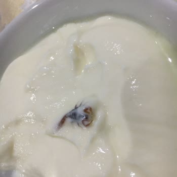 Köfteci Yusuf'tan Sipariş Ettiği Ürün İçinden Akrep Çıktı