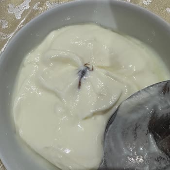 Köfteci Yusuf'tan Sipariş Ettiği Ürün İçinden Akrep Çıktı