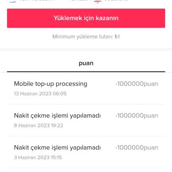 TikTok Kampanyasından Alamadığım Ödülüm
