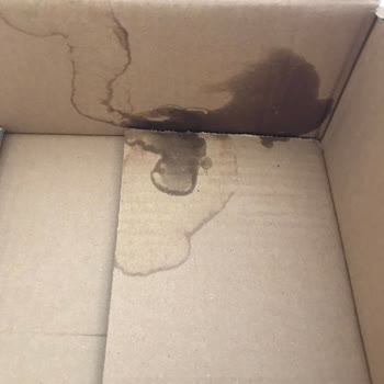 Chakra İnternetten Alınan Ürünün Değişimi Olmaması.