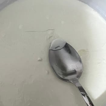 BİM Dost Yoğurt Kıl Ve Küf Problemi