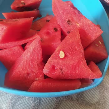 Şok Marketler Kabak Aşılı Karpuz İle İnsan Sağlığıyla Oynuyorlar