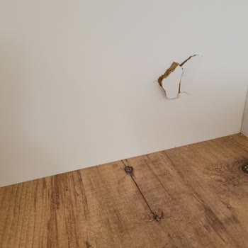 Evdiz TV Üniversitesi Kirik Geldi