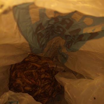 A101 Dondurulmuş Balık Ve Karides Yüzünden Zehirlendik