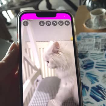 iPhone 1.5 Aylık iPhone 13 Onarım Teklifi?