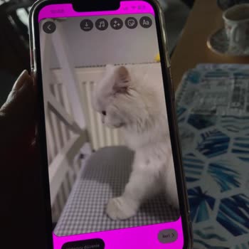 iPhone 1.5 Aylık iPhone 13 Onarım Teklifi?