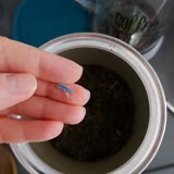 Çaykur Yeşil Çaydan Plastik Parça Çıkması