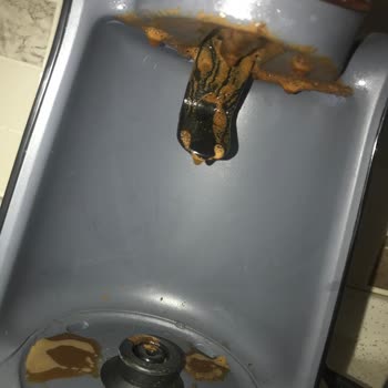 Arzum Okka Kahve Makinesi Taşırıyor