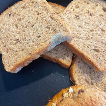 Uno Ekmek Son Kullanım Tarihi Gelmeden Küflenen Ekmek