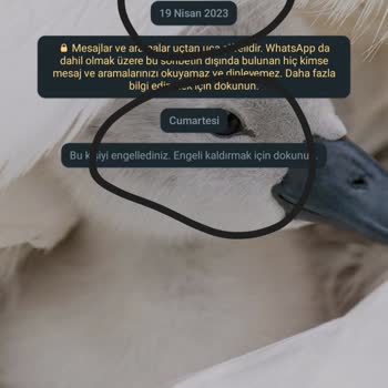 WhatsApp Ta Engellenenlerin Sohbete Girdiğinde Çıkan Farklı Tarihler