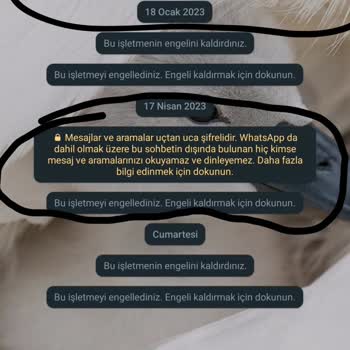 WhatsApp Ta Engellenenlerin Sohbete Girdiğinde Çıkan Farklı Tarihler