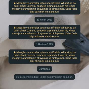 WhatsApp Ta Engellenenlerin Sohbete Girdiğinde Çıkan Farklı Tarihler