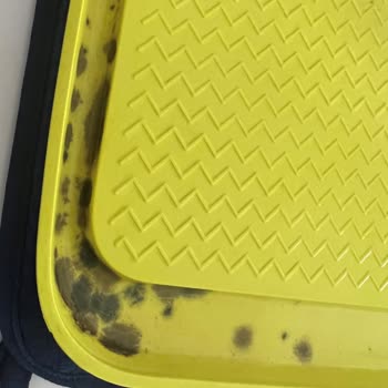 Pop Dog Mağazasından Aldığım Zee. Mat | Mama Kabı Altlığı Küflenmeye Başladı