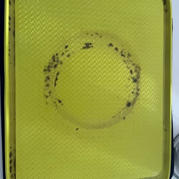 Pop Dog Mağazasından Aldığım Zee. Mat | Mama Kabı Altlığı Küflenmeye Başladı