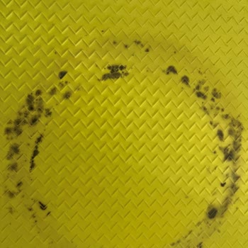 Pop Dog Mağazasından Aldığım Zee. Mat | Mama Kabı Altlığı Küflenmeye Başladı