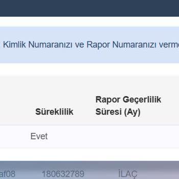 E-nabız 2012'ye Ait %15 Skor, Engelli Statüsünde Sağlık Raporu Hatası