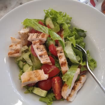 Teras Cafe & Restaurant Haksız Kazanç Salata