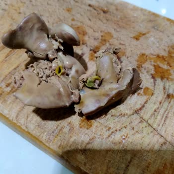 Gedik Piliç Tavuk Ciğerindeki Öd