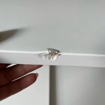 Bayrampaşa IKEA Ve Borusan Lojistik Şikayeti