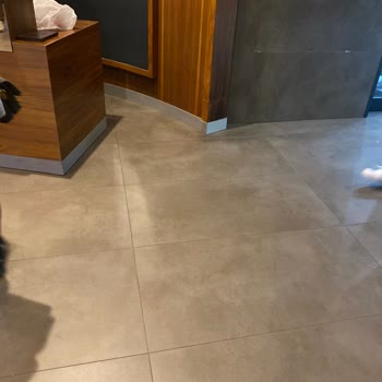 Maide Restoran Siparişim Gelmiyor, Hala Bekliyorum, Yarım Saat Oldu