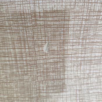 Ustalar Halı Yıkama Halimizi Yırtıp Gönderdi.