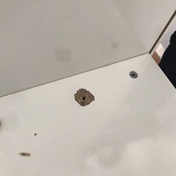 Aydınsoy Nakliyat & Depolama Eşyalarıma Zarar Verdiler!